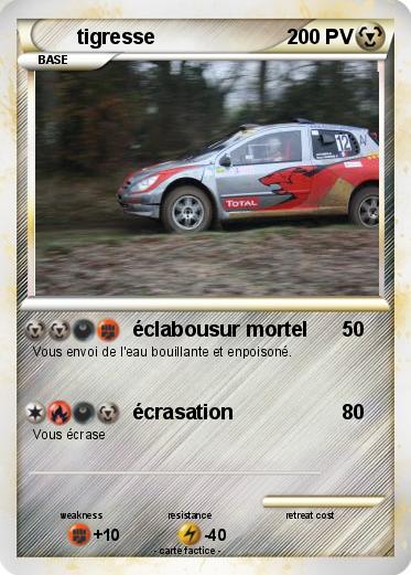 Pokemon tigresse