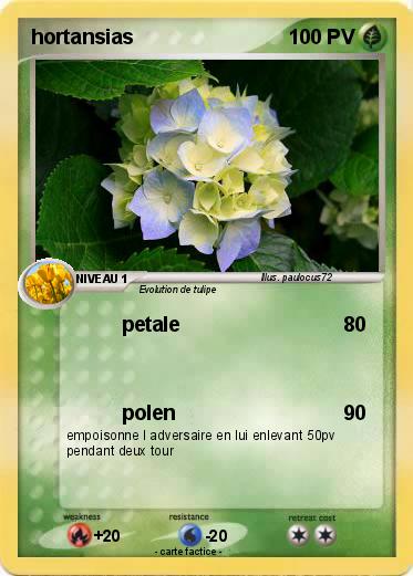 Pokemon hortansias