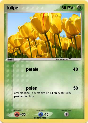 Pokemon tulipe