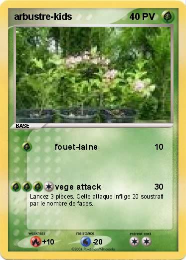Pokemon arbustre-kids