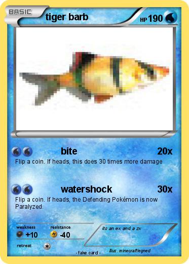 Pokemon tiger barb
