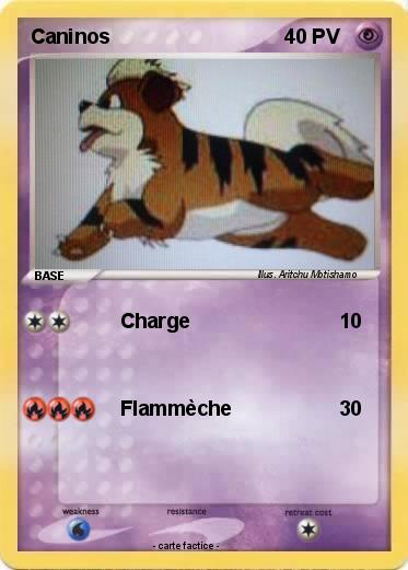 Pokemon Caninos