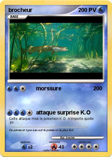 Pokemon brocheur