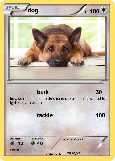 Pokemon dog