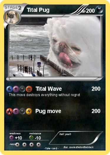Pokemon Tital Pug