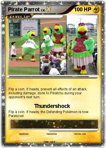 Pokemon Pirate Parrot