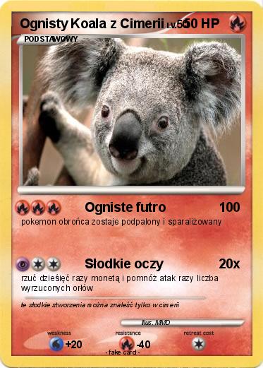 Pokemon Ognisty Koala z Cimerii