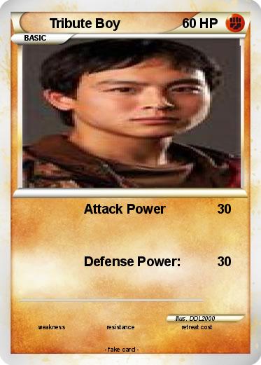 Pokemon Tribute Boy