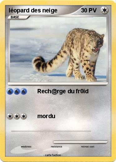 Pokemon léopard des neige