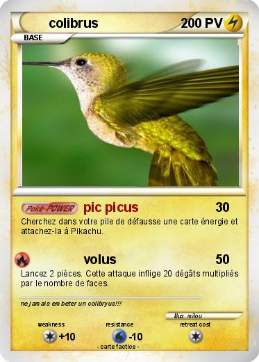 Pokemon colibrus