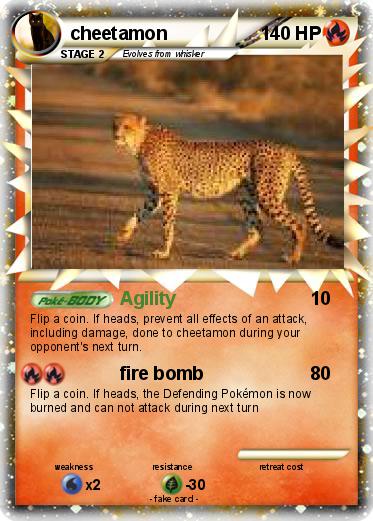 Pokemon cheetamon