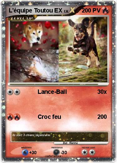 Pokemon L'équipe Toutou EX