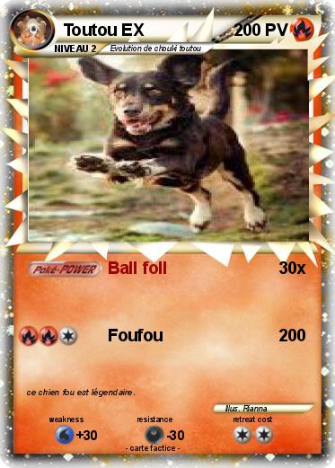 Pokemon Toutou EX