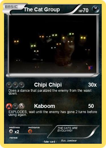 Pokemon The Cat Group