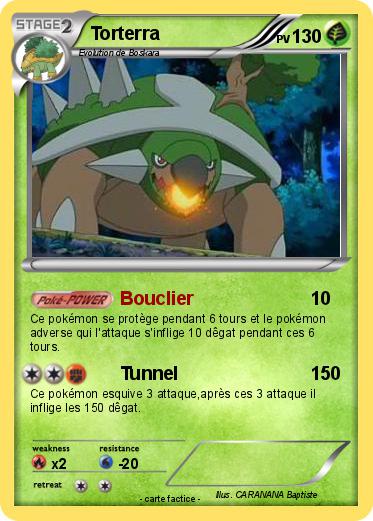 Pokemon Torterra