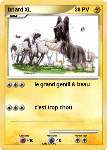Pokemon briard XL
