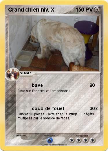 Pokemon Grand chien niv. X