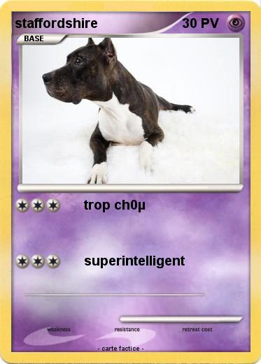 Pokemon staffordshire