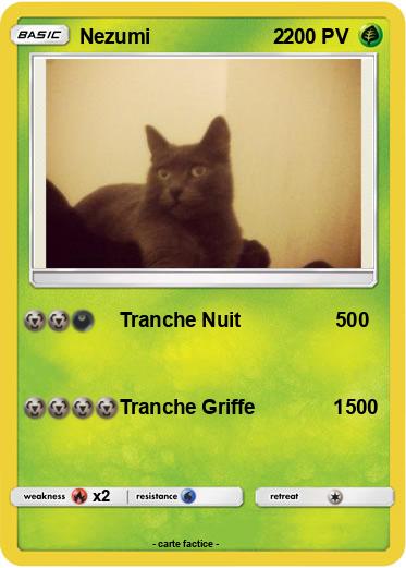 Pokemon Nezumi                      2