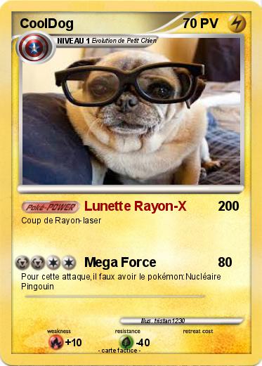 Pokemon CoolDog