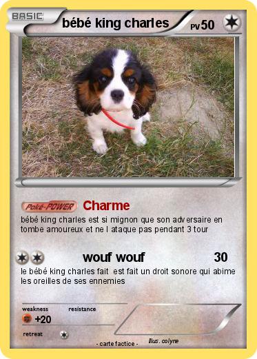 Pokemon bébé king charles