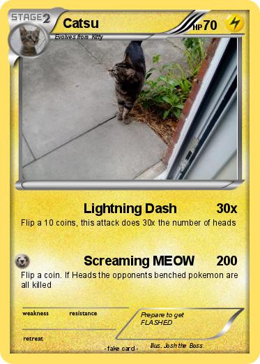 Pokemon Catsu