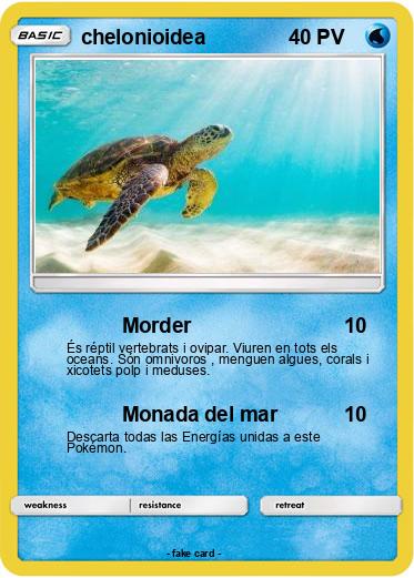 Pokemon chelonioidea