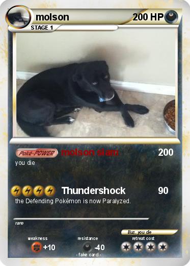 Pokemon molson