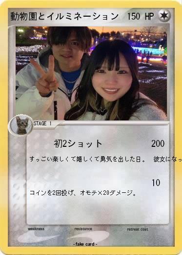 Pokemon 動物園とイルミネーション