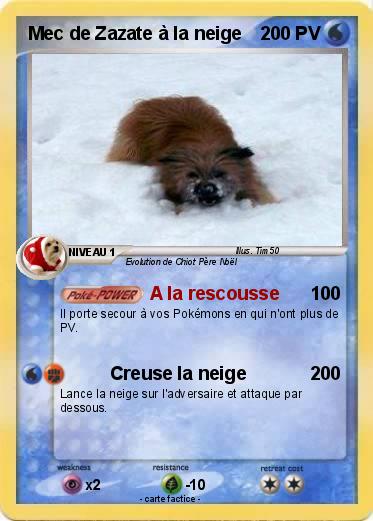 Pokemon Mec de Zazate à la neige