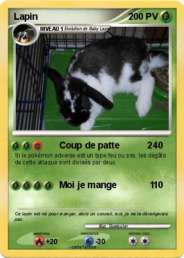 Pokemon Lapin