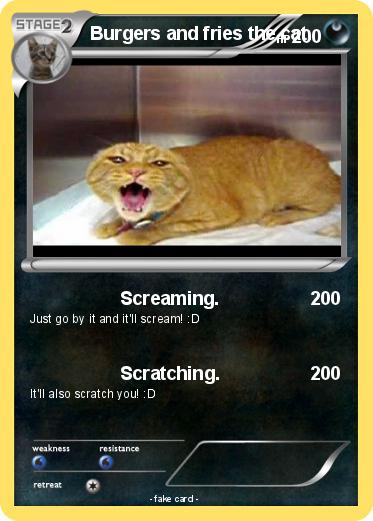 Pokemon Burgers and fries the cat.