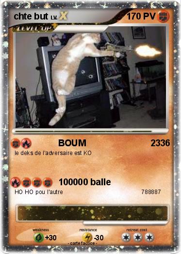 Pokemon chte but