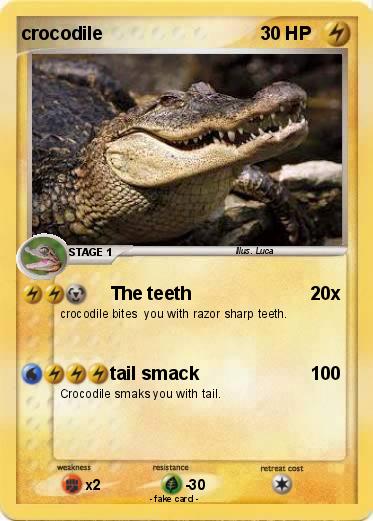 Pokemon crocodile
