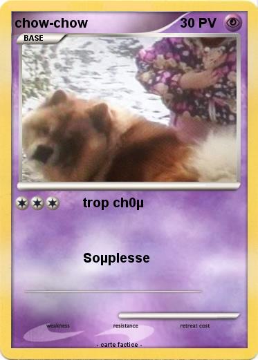 Pokemon chow-chow