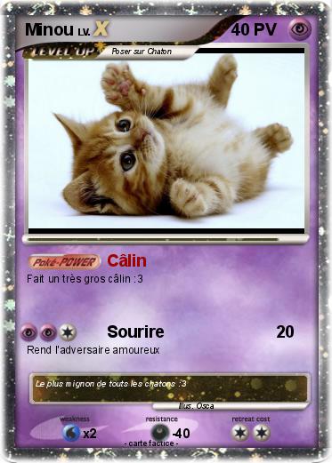 Pokemon Minou