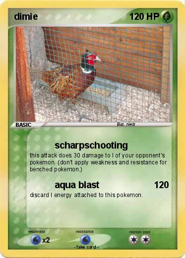 Pokemon dimie
