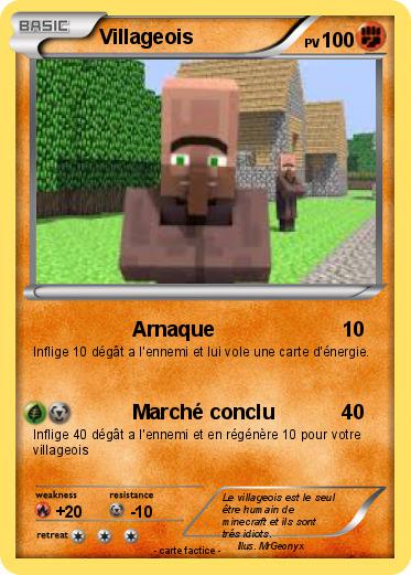 Pokemon Villageois