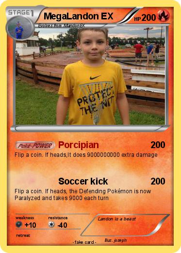 Pokemon MegaLandon EX