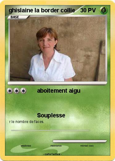 Pokemon ghislaine la border collie