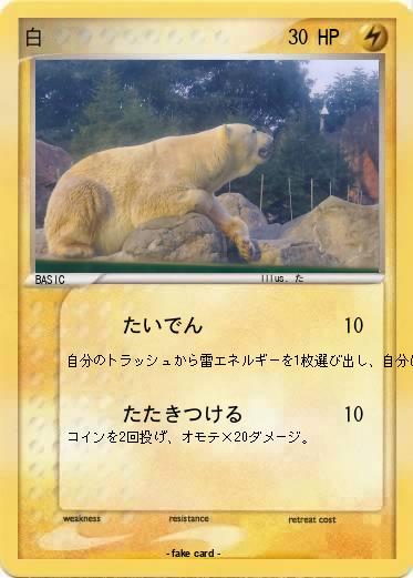 Pokemon 白