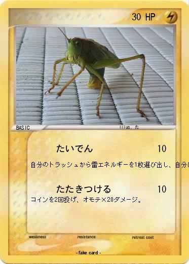 Pokemon 