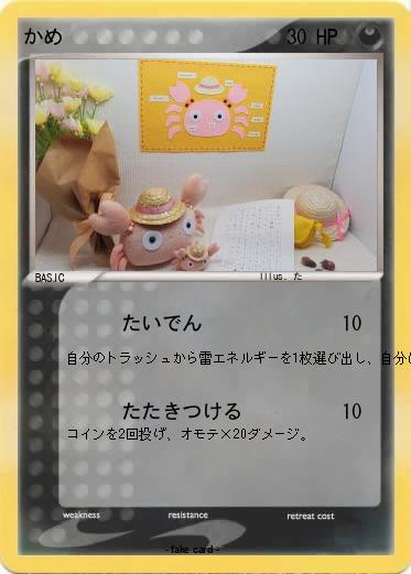 Pokemon かめ