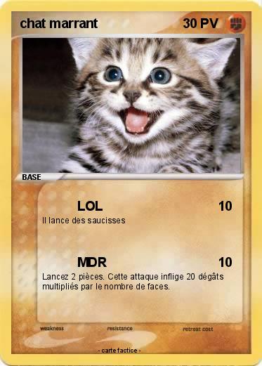 Pokemon chat marrant