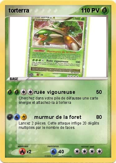 Pokemon torterra