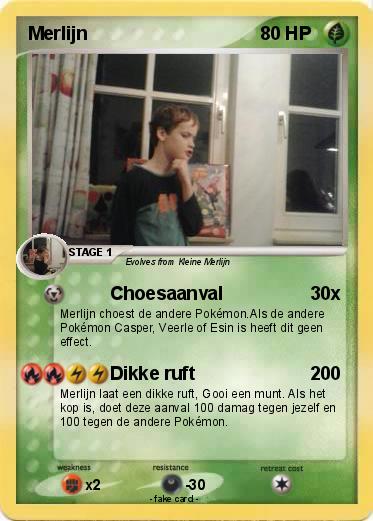 Pokemon Merlijn