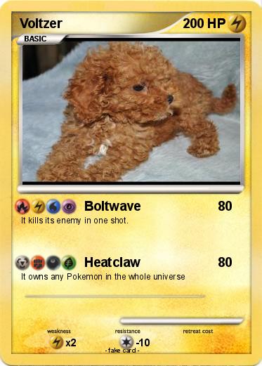 Pokemon Voltzer