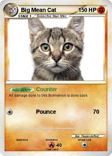 Pokemon Big Mean Cat