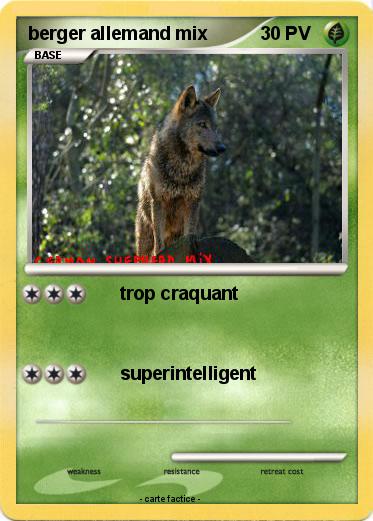 Pokemon berger allemand mix