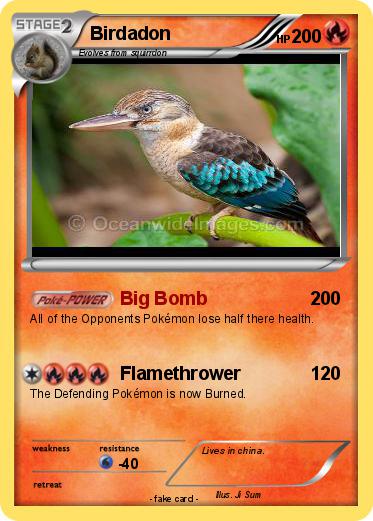 Pokemon Birdadon